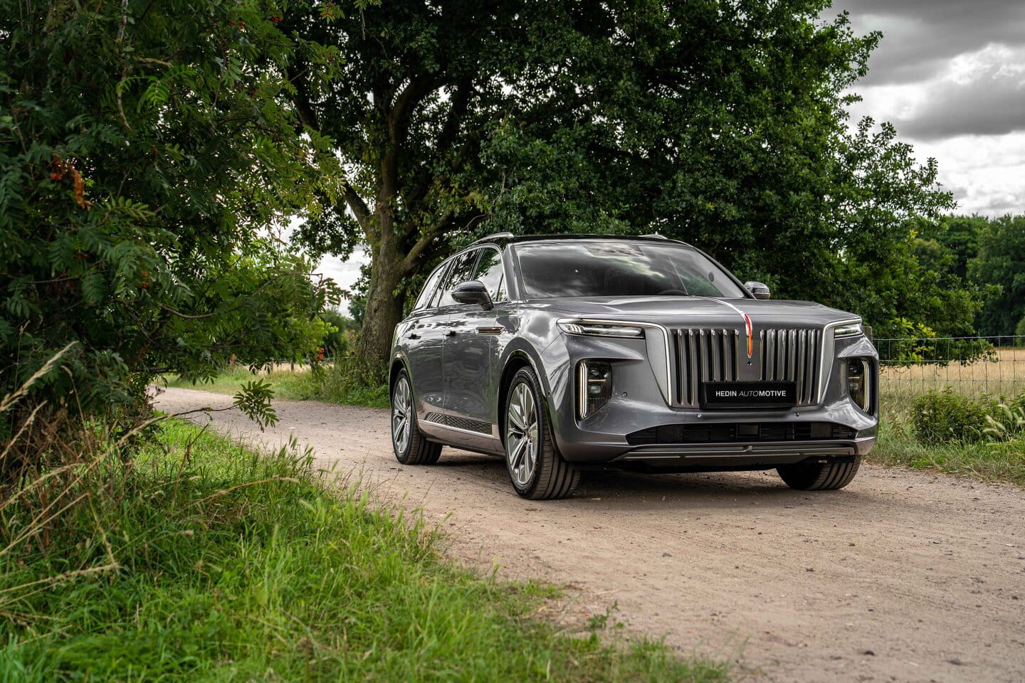 Hongqi EHS9 President Long Range-review-1