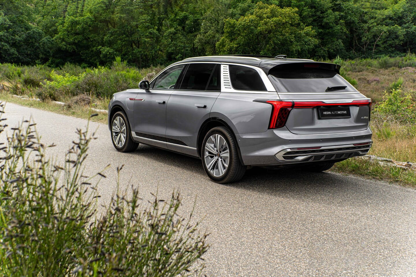Hongqi EHS9 President Long Range-review-2