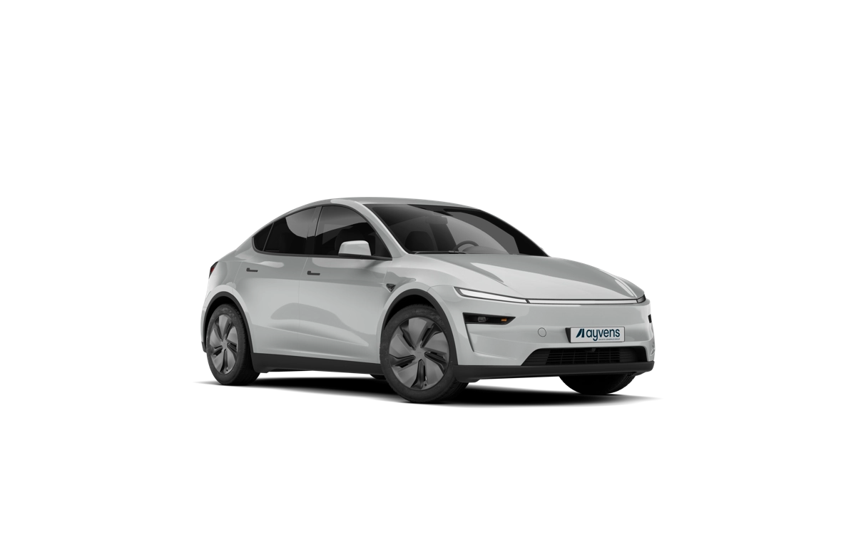 Tesla Y-small