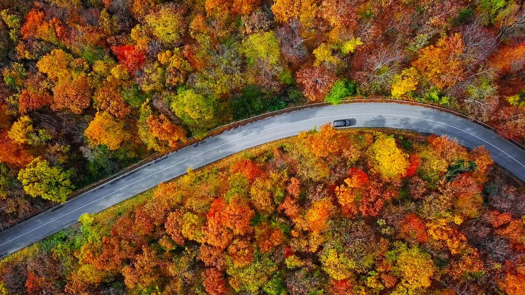 Autumn
