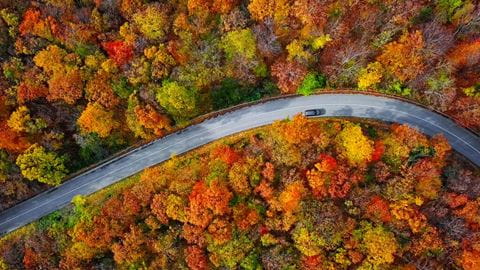 Autumn