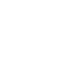 ayv_icon_Information_Reverse_288