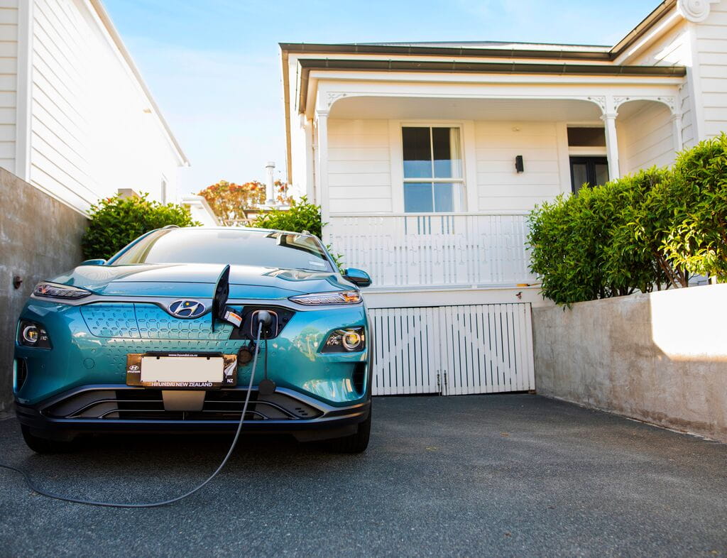 Large-JPG-NZ_20_180