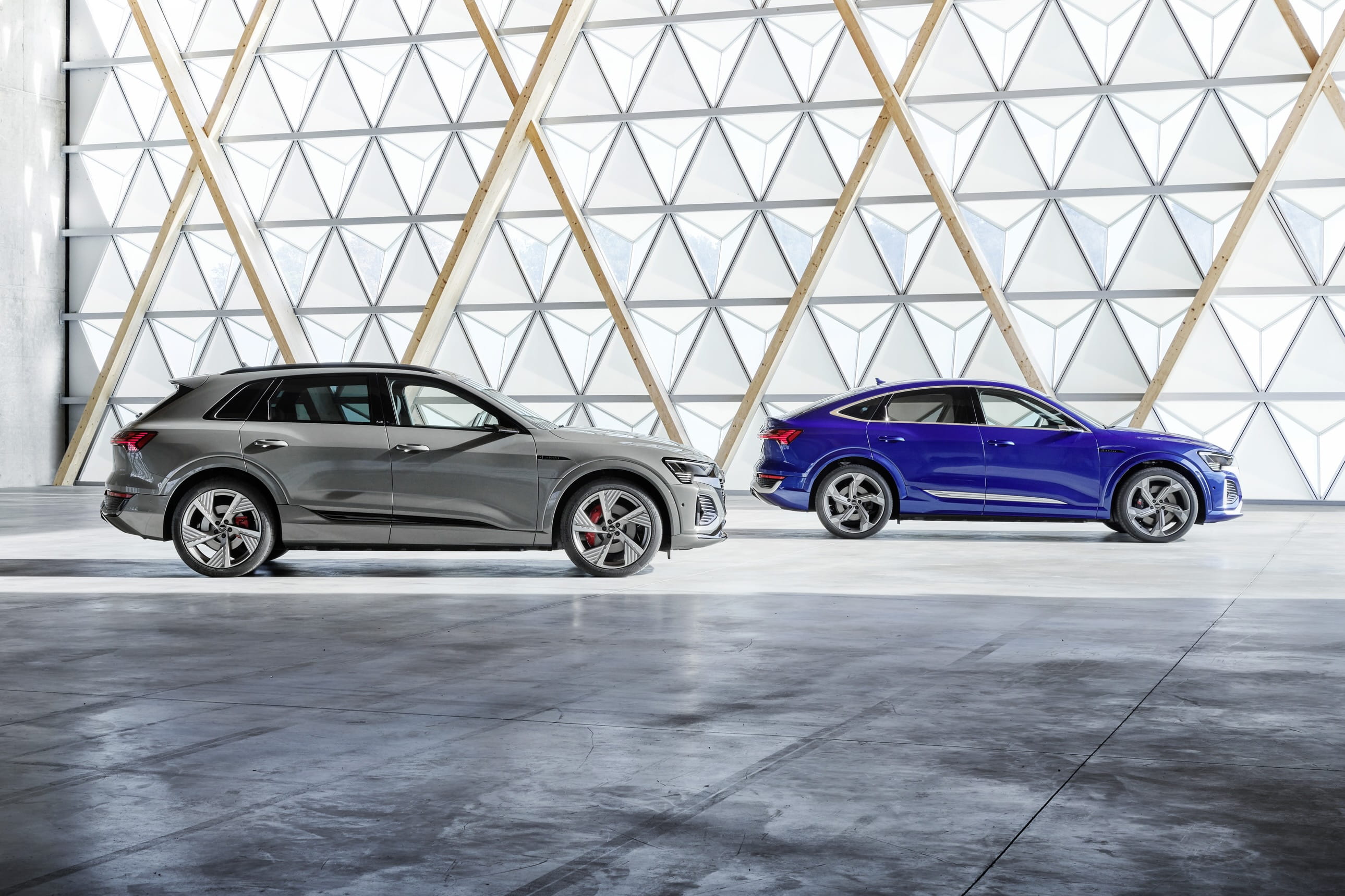 Paragraph-Audi-Q8-etron-lineup