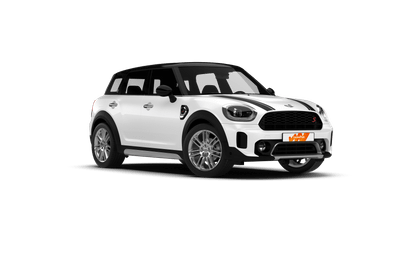mini_male