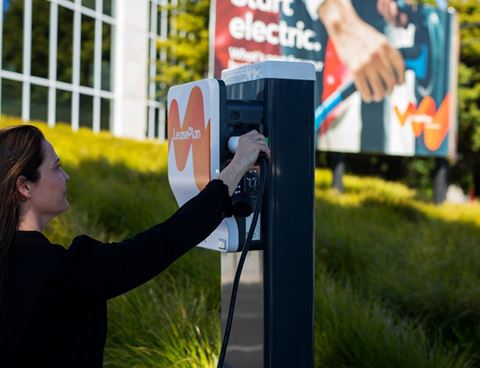 Large JPG-NZ_20_354