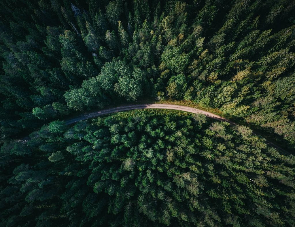 sustentabilidade